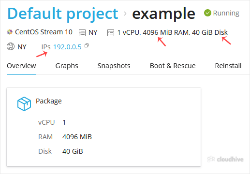 Cara Mengecek Spesifikasi VPS dan Informasi Virtualisasi di SolusVM 2